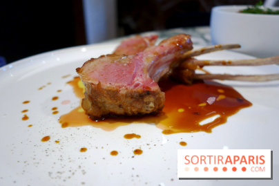 Zebra par Alexandre Giesbert et Julien Ross dans le 16e à Paris