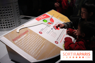 Dinosaure, la vie en grand au Muséum