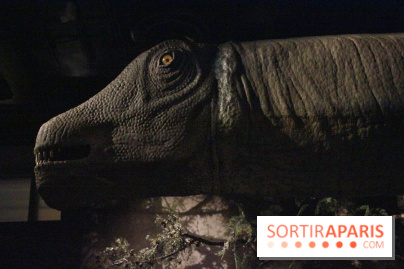 Dinosaure, la vie en grand au Muséum