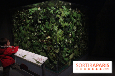 Dinosaure, la vie en grand au Muséum