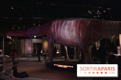 Dinosaure, la vie en grand au Muséum