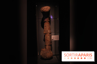 Dinosaure, la vie en grand au Muséum