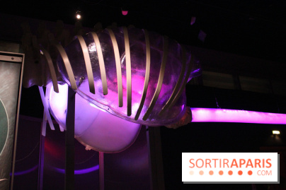 Dinosaure, la vie en grand au Muséum