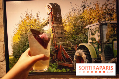 Breizh Café rue Montorgueil