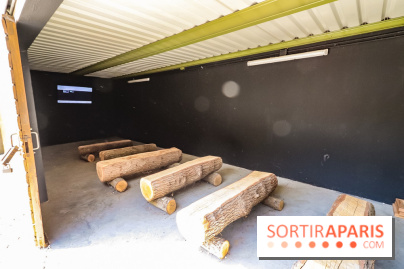 AccroCamp, l'accrobranche des Boucles de Seine