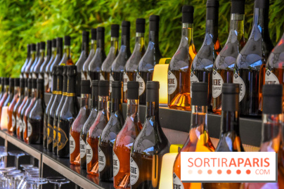 Le River Café lance ses Apéros Parisiens