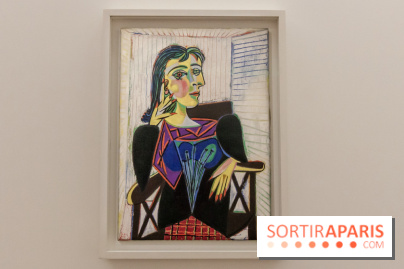 Les chefs d'œuvre de Picasso au Musée Picasso, photos