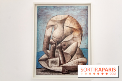 Les chefs d'œuvre de Picasso au Musée Picasso, photos
