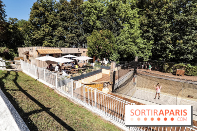 Accrocamp, l'accrobranche de Rueil