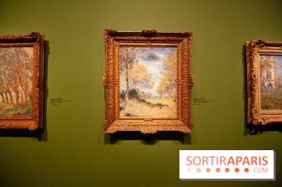 Collections privées, l'exposition à Marmottan-Monet