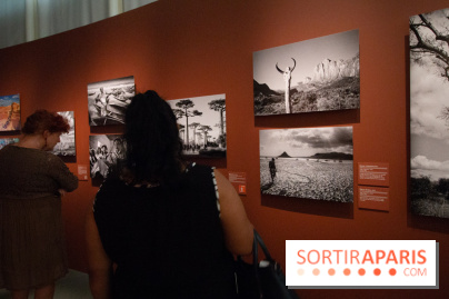 Exposition Madagascar au musée du Quai Branly 