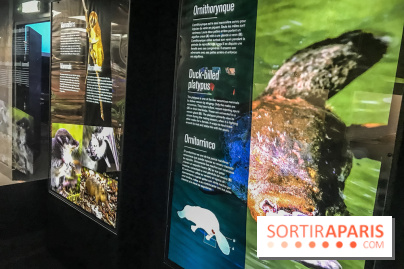 Poison au Palais de la Découverte, les photos 