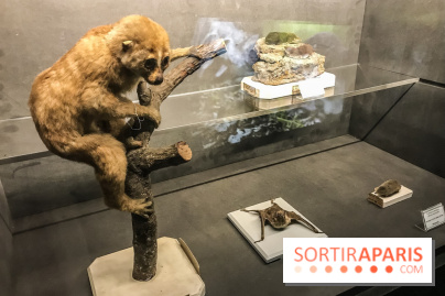 Poison au Palais de la Découverte, les photos 