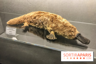 Poison au Palais de la Découverte, les photos 