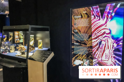 Poison au Palais de la Découverte, les photos 