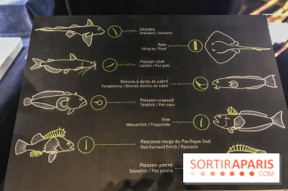 Poison au Palais de la Découverte, les photos 