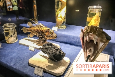 Poison au Palais de la Découverte, les photos 