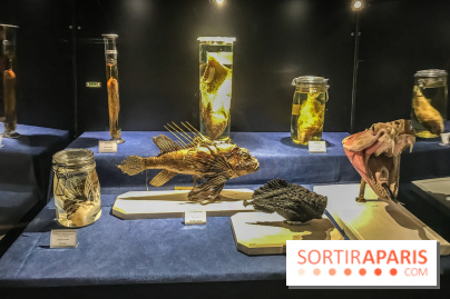 Poison au Palais de la Découverte, les photos 