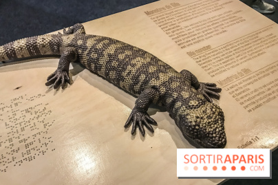 Poison au Palais de la Découverte, les photos 