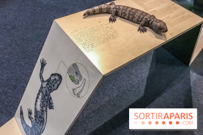 Poison au Palais de la Découverte, les photos 