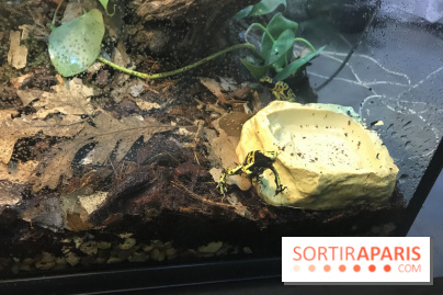 Poison au Palais de la Découverte, les photos 