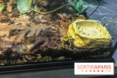 Poison au Palais de la Découverte, les photos 