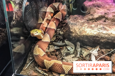 Poison au Palais de la Découverte, les photos 