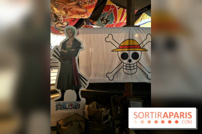 One piece à l'Aquarium de Paris 2018, les photos 