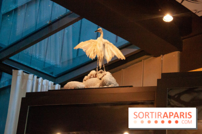 Reality Check au Cinq Codet