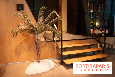 Reality Check au Cinq Codet