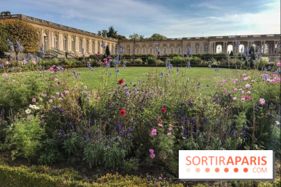 Exposition Sugimoto à Versailles - , Trianon