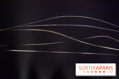 Carte Blanche à Tomas Saraceno au Palais de Tokyo