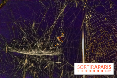 Carte Blanche à Tomas Saraceno au Palais de Tokyo