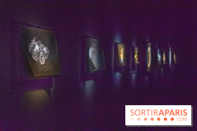 Carte Blanche à Tomas Saraceno au Palais de Tokyo