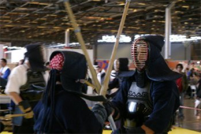 Nombreuses démonstrations d'arts martiaux à Japan Expo 2009