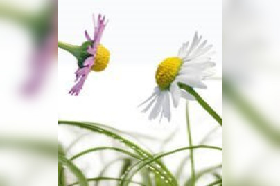 Naturally revient à la Porte de Versailles