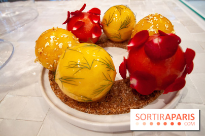 Bûche de Noël 2018 de Foucade