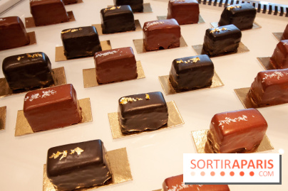 Bûche de Noël 2018 et Galette des Rois 2019 de Foucade