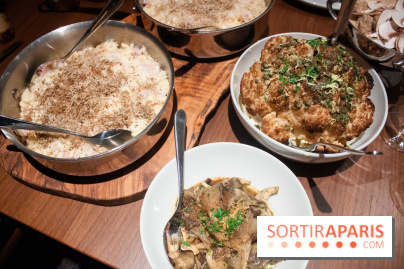 Mayo, le nouveau bistrot by Hyatt Regency