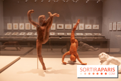 Rodin, dessiner, découper au musée Rodin