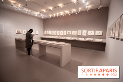 Rodin, dessiner, découper au musée Rodin