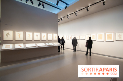 Rodin, dessiner, découper au musée Rodin