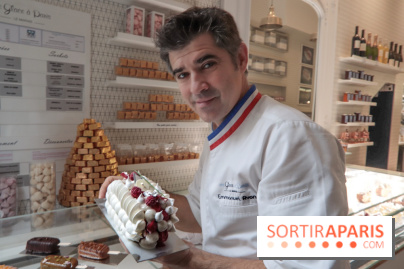 Bûches de Noël 2018 d'Une Glace à Paris