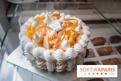 Bûches de Noël 2018 d'Une Glace à Paris