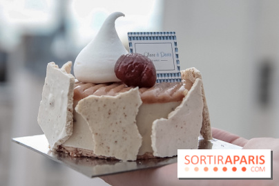 Bûches de Noël 2018 d'Une Glace à Paris