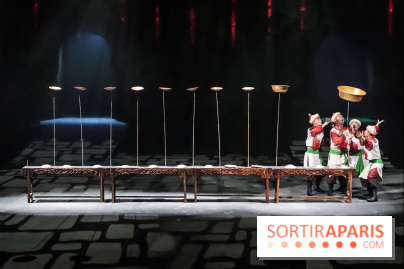 Le Roi des Singes au Cirque Phénix