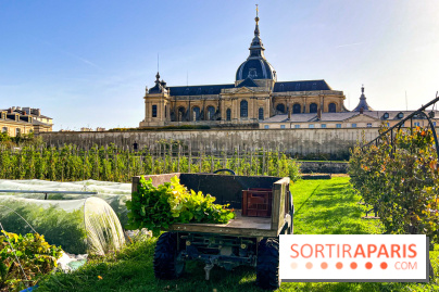 Les Saveurs du Potager du Roi à Versailles : marché de fruits & légumes, expositions et animations