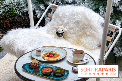 La terrasse d'hiver 2024 de l'hôtel 5* Maison Albar - Le Vendôme : un Tea Time à prix tout doux !