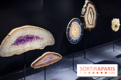 Rêveries de pierres : l'exposition rétrospective gratuite à l'Ecole des Arts Joailliers