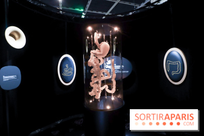 Microbiote, l'exposition à la Cité des Sciences 